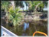 Florida-20020225-1422a.jpg (129054 bytes)