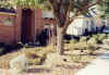 M&PHouse-fall-07.jpg (114996 bytes)