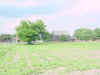 Mich200206181538b.jpg (64423 bytes)