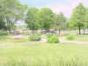Mich200206181544.jpg (97876 bytes)
